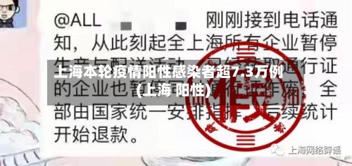上海本轮疫情阳性感染者超7.3万例(上海 阳性)
