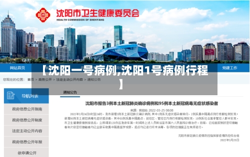 【沈阳一号病例,沈阳1号病例行程】