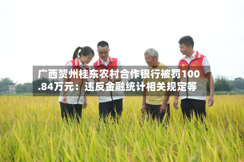 广西贺州桂东农村合作银行被罚100.84万元：违反金融统计相关规定等