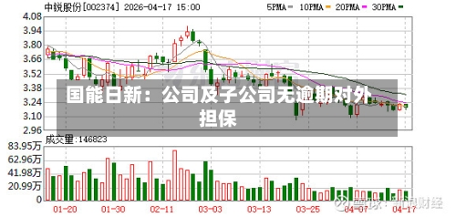 国能日新：公司及子公司无逾期对外担保