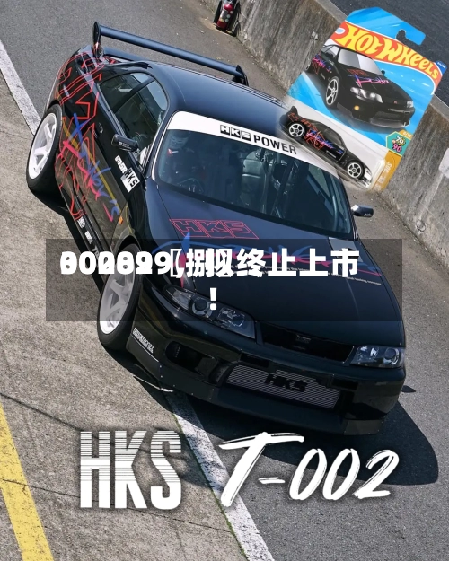 00289〖捌〗、300029，拟终止上市！