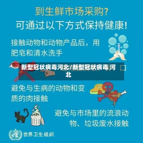 新型冠状病毒河北/新型冠状病毒 河北