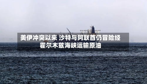 美伊冲突以来 沙特与阿联酋仍冒险经霍尔木兹海峡运输原油