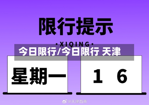 今日限行/今日限行 天津