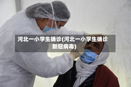 河北一小学生确诊(河北一小学生确诊新冠病毒)