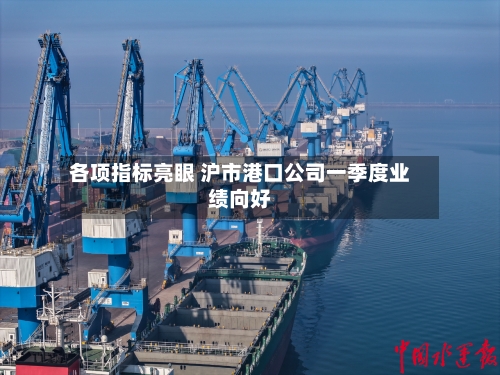 各项指标亮眼 沪市港口公司一季度业绩向好