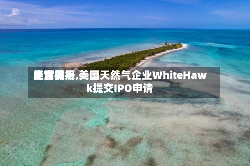 受世界能源费用走高提振,美国天然气企业WhiteHawk提交IPO申请