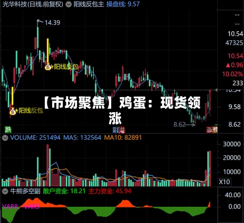 【市场聚焦】鸡蛋：现货领涨