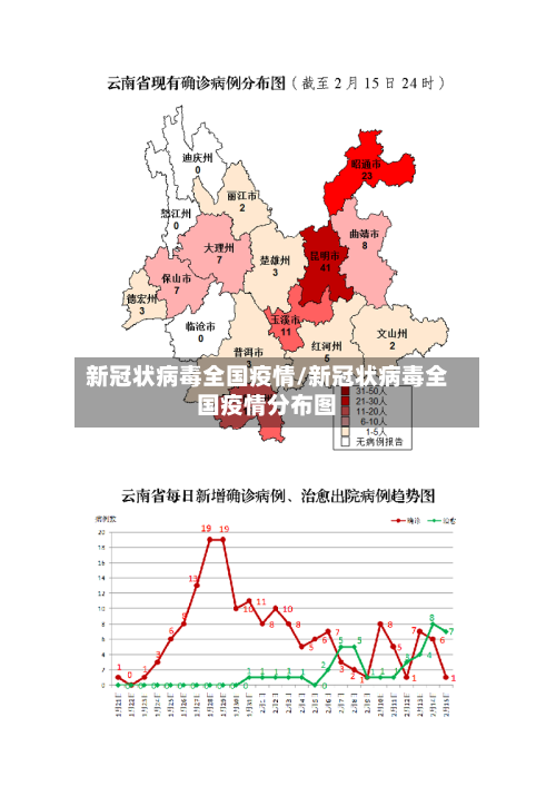 新冠状病毒全国疫情/新冠状病毒全国疫情分布图