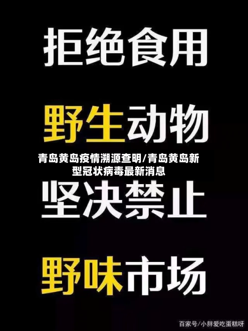 青岛黄岛疫情溯源查明/青岛黄岛新型冠状病毒最新消息