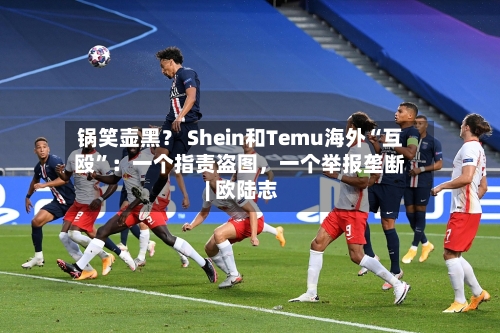 锅笑壶黑？ Shein和Temu海外“互殴”：一个指责盗图，一个举报垄断 | 欧陆志