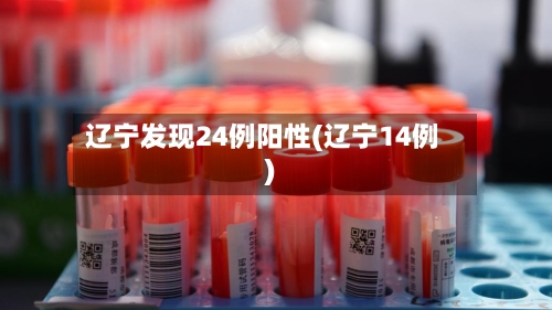 辽宁发现24例阳性(辽宁14例)