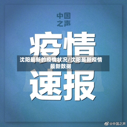 沈阳最新的疫情状况/沈阳最新疫情最新数据