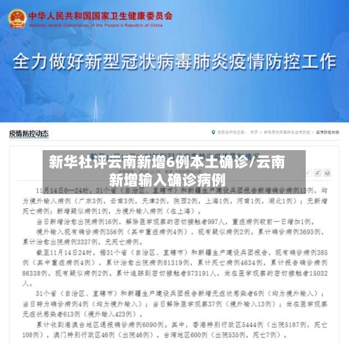 新华社评云南新增6例本土确诊/云南新增输入确诊病例