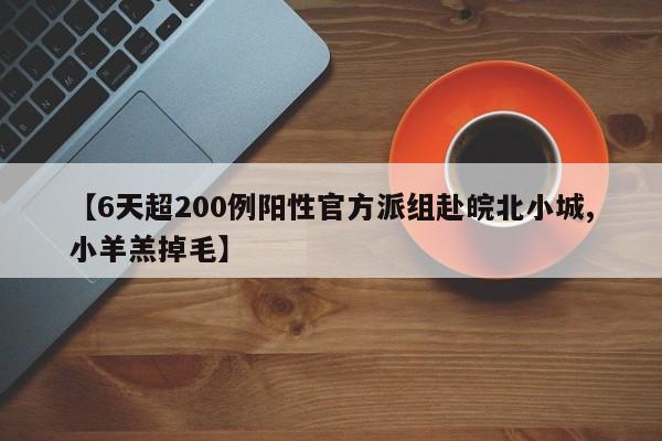 【6天超200例阳性官方派组赴皖北小城,小羊羔掉毛】