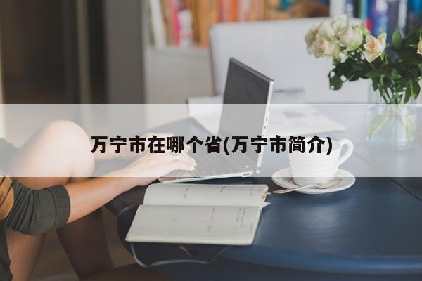 万宁市在哪个省(万宁市简介)